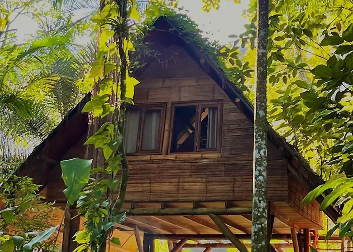 Sitio Simple Life Acomodação com café da manhã Ubatuba